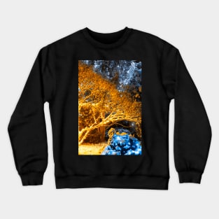 Gold Winter Night - Meadowlark Gardens Crewneck Sweatshirt